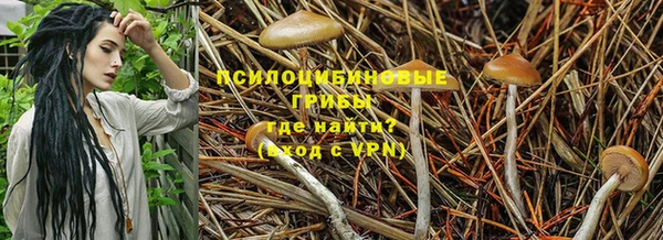 ECSTASY Вязники