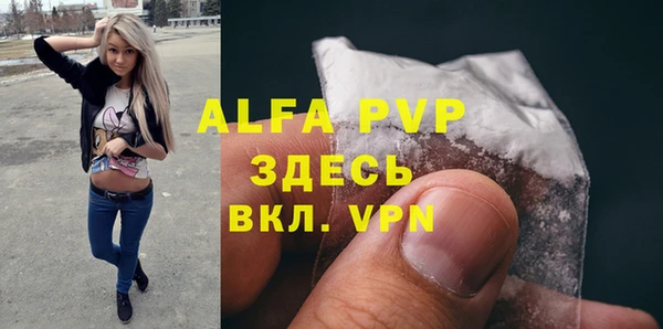 прущий лед Вяземский