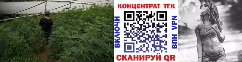Дистиллят ТГК Wax  Купить где  Надым 